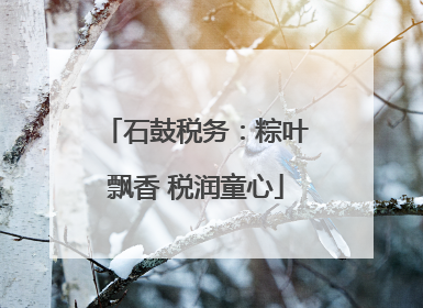 石鼓税务：粽叶飘香 税润童心