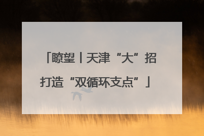 瞭望丨天津“大”招打造“双循环支点”