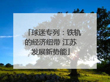 球迷专列：铁轨的经济纽带 江苏发展新势能