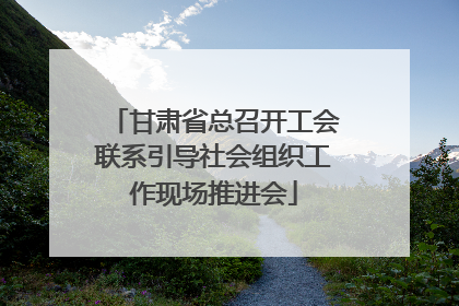 甘肃省总召开工会联系引导社会组织工作现场推进会