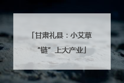 甘肃礼县：小艾草“链”上大产业