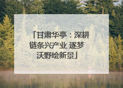 甘肃华亭：深耕链条兴产业 逐梦沃野绘新景