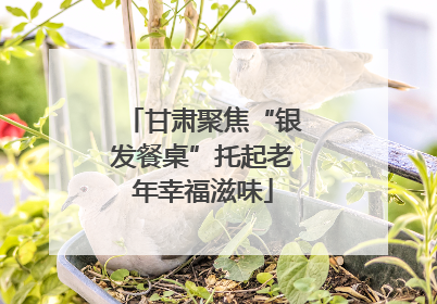 甘肃聚焦“银发餐桌”托起老年幸福滋味