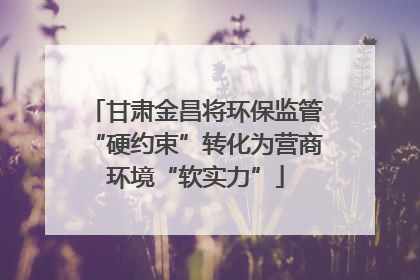 甘肃金昌将环保监管“硬约束”转化为营商环境“软实力”