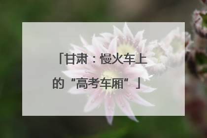 甘肃：慢火车上的“高考车厢”