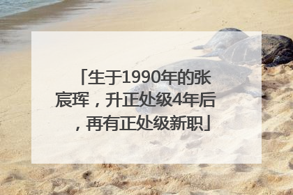 生于1990年的张宸珲，升正处级4年后，再有正处级新职