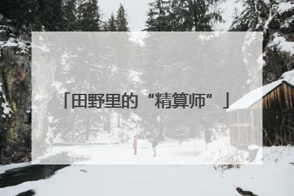 田野里的“精算师”