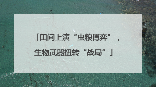 田间上演“虫粮博弈”，生物武器扭转“战局”
