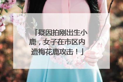 疑因拍刚出生小鹿，女子在市区内遭梅花鹿攻击！