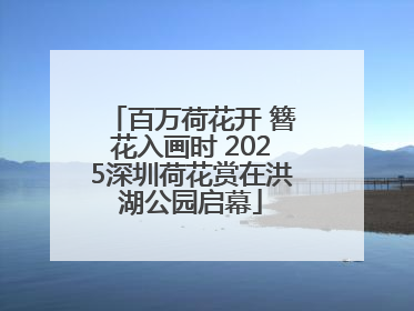 百万荷花开 簪花入画时 2025深圳荷花赏在洪湖公园启幕