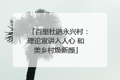 百里杜鹃永兴村：理论宣讲入人心 和美乡村焕新颜