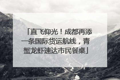 直飞仰光！成都再添一条国际货运航线，青蟹龙虾速达市民餐桌