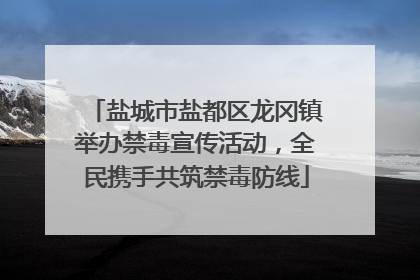 盐城市盐都区龙冈镇举办禁毒宣传活动，全民携手共筑禁毒防线