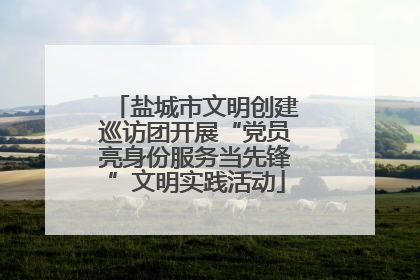 盐城市文明创建巡访团开展“党员亮身份服务当先锋”文明实践活动