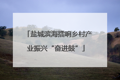 盐城滨海擂响乡村产业振兴“奋进鼓”