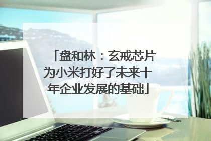 盘和林：玄戒芯片为小米打好了未来十年企业发展的基础