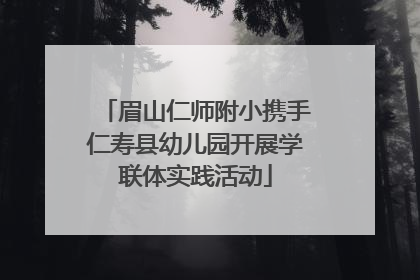 眉山仁师附小携手仁寿县幼儿园开展学联体实践活动