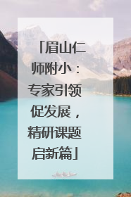 眉山仁师附小：专家引领促发展，精研课题启新篇