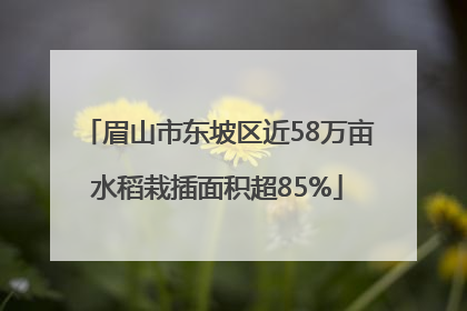 眉山市东坡区近58万亩水稻栽插面积超85%