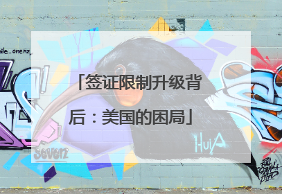 签证限制升级背后：美国的困局
