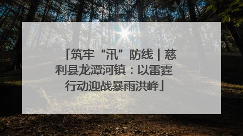 筑牢“汛”防线｜慈利县龙潭河镇：以雷霆行动迎战暴雨洪峰