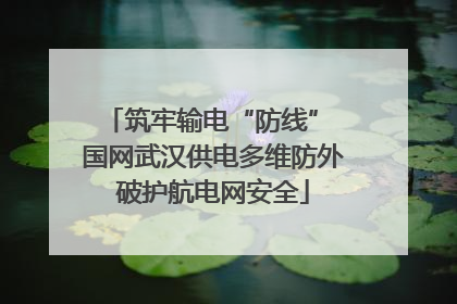 筑牢输电“防线” 国网武汉供电多维防外破护航电网安全