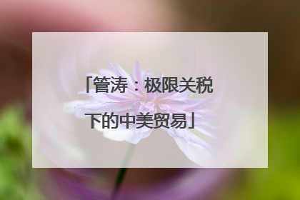 管涛：极限关税下的中美贸易