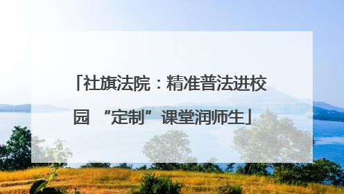 社旗法院：精准普法进校园 “定制”课堂润师生