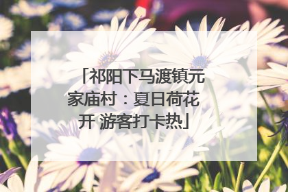 祁阳下马渡镇元家庙村：夏日荷花开 游客打卡热