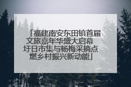 福建南安东田镇首届文旅嘉年华盛大启幕 圩日市集与杨梅采摘点燃乡村振兴新动能