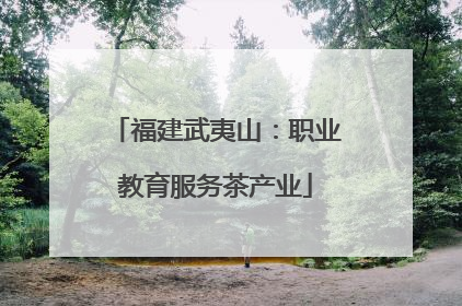 福建武夷山：职业教育服务茶产业