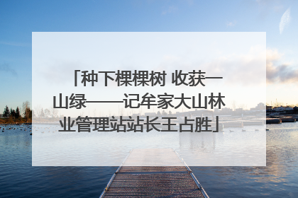 种下棵棵树 收获一山绿——记牟家大山林业管理站站长王占胜