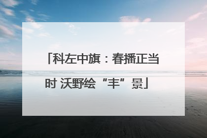 科左中旗：春播正当时 沃野绘“丰”景