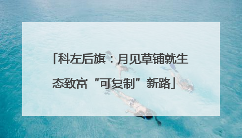 科左后旗：月见草铺就生态致富“可复制”新路