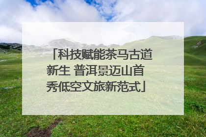 科技赋能茶马古道新生 普洱景迈山首秀低空文旅新范式