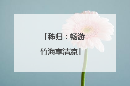 秭归：畅游竹海享清凉