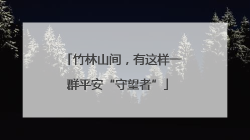 竹林山间，有这样一群平安“守望者”