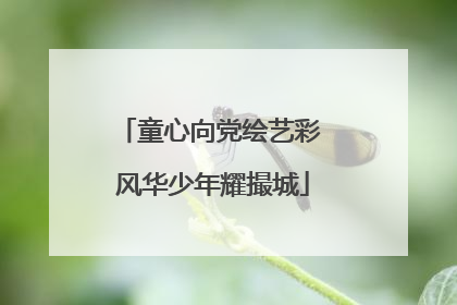 童心向党绘艺彩 风华少年耀撮城