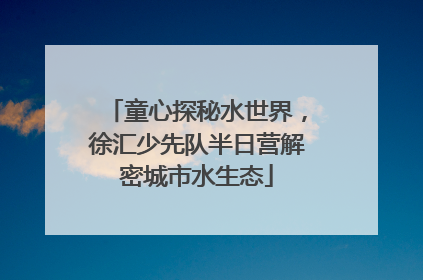 童心探秘水世界，徐汇少先队半日营解密城市水生态