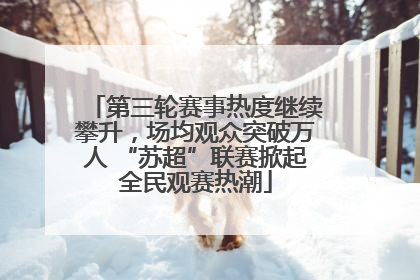 第三轮赛事热度继续攀升，场均观众突破万人 “苏超”联赛掀起全民观赛热潮