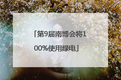 第9届南博会将100%使用绿电