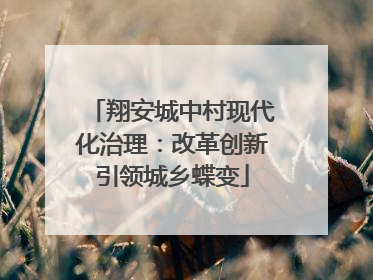翔安城中村现代化治理：改革创新引领城乡蝶变
