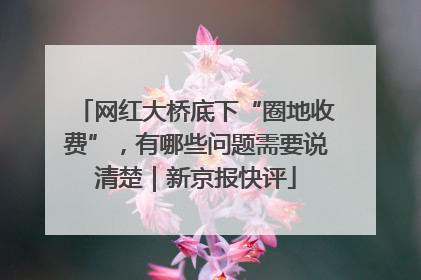 网红大桥底下“圈地收费”，有哪些问题需要说清楚｜新京报快评
