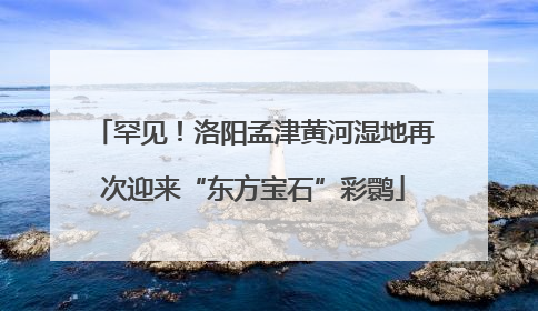 罕见！洛阳孟津黄河湿地再次迎来“东方宝石”彩鹮
