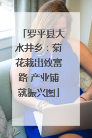 罗平县大水井乡：菊花栽出致富路 产业铺就振兴图