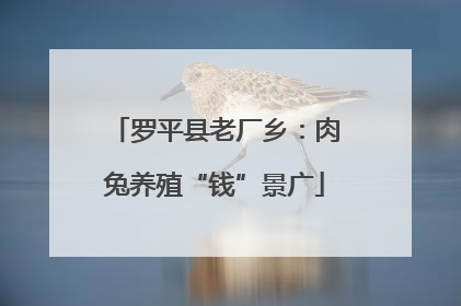 罗平县老厂乡：肉兔养殖“钱”景广