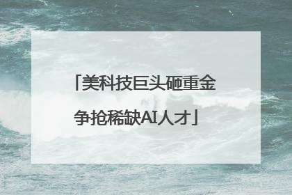美科技巨头砸重金争抢稀缺AI人才