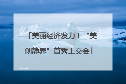 美丽经济发力！“美创静界”首秀上交会