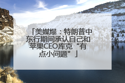 美媒爆：特朗普中东行期间承认自己和苹果CEO库克“有点小问题”