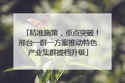 精准施策，重点突破！邢台一群一方案推动特色产业集群提档升级